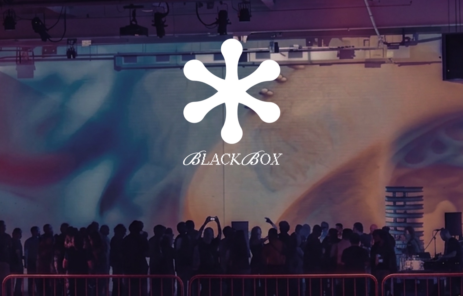 A BLACKBOX audience in silhouette against a projected wall