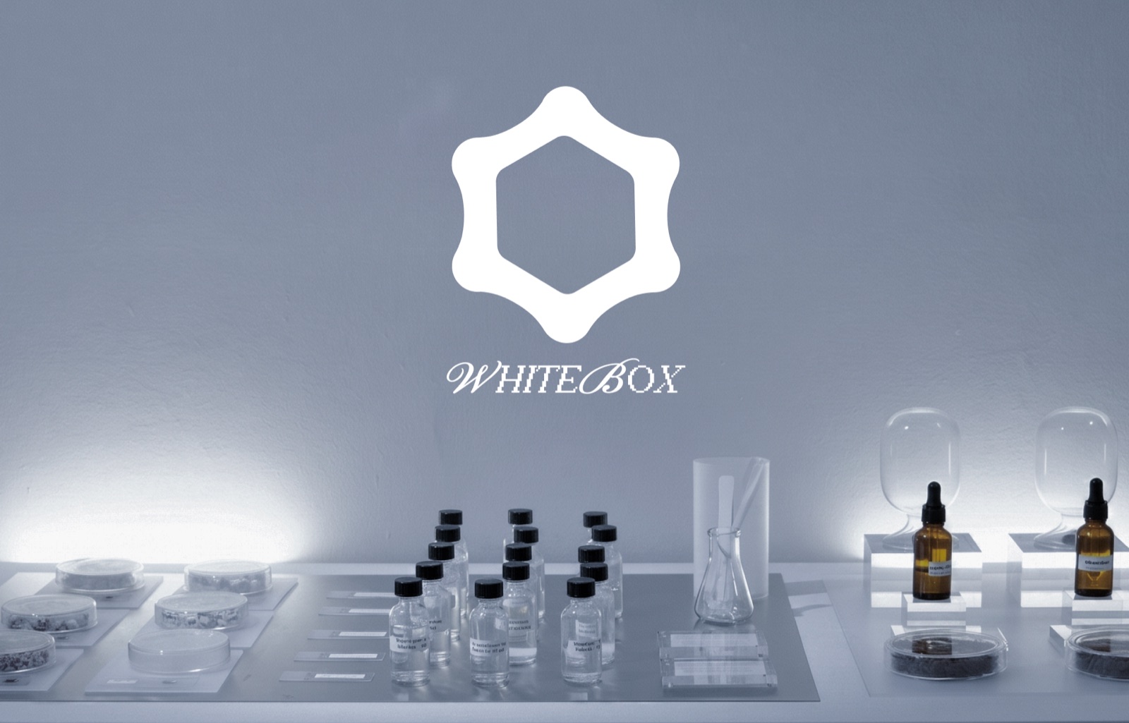 A WHITEBOX lab bench: labeled vials, flasks and samples under even working light